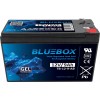 GEL VRLA „Bluebox 9-12“ 12 V 9 Ah gelinis akumuliatorius, skirtas signalizacijos sistemoms, stebėjimo sistemoms, valdikliams ir UPS