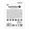 EverActive 6F22/9V ličio jonų akumuliatorius 9V 550 mAh su USB TYPE C