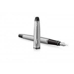 Waterman Expert Steel CT Plunksnakotis - S0952060