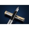 Waterman Impression Steel GT plunksnakotis (F) - 2225493